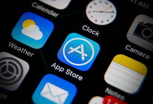 苹果春雨直播成人APP,苹果旗下成人APP的全新体验探索