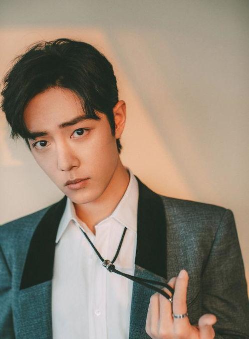 爱豆娱乐吃瓜酱肖战,爱豆娱乐吃瓜酱背后的故事