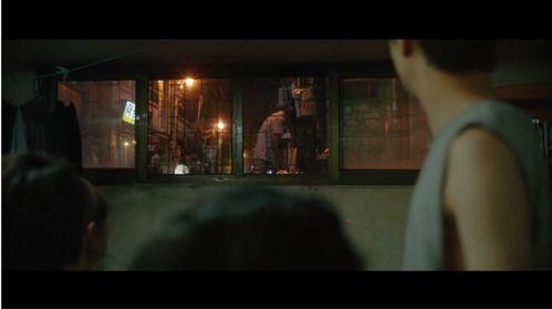 韩国电影寄生虫,揭示社会阶层与人性挣扎的暗黑寓言