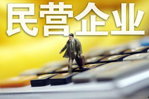 民营企业